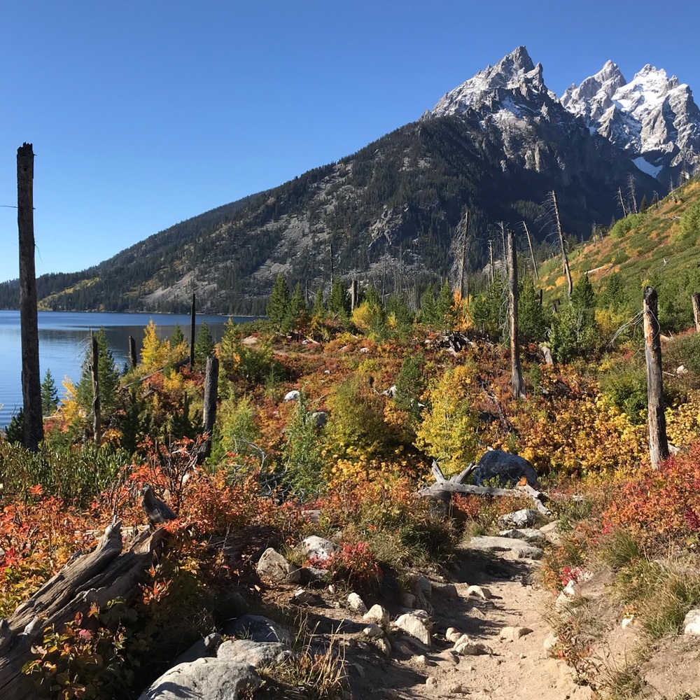 Meet your Posher, Barb